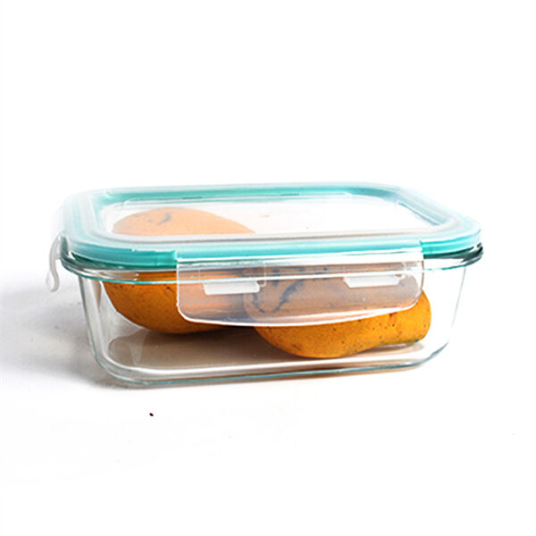 Protection of Glassware Lunch Box