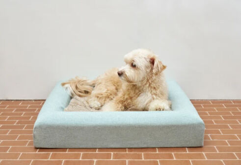 Custom Orthopedic large Memory Foam pet Dog Bed waterproof pet bed supplier