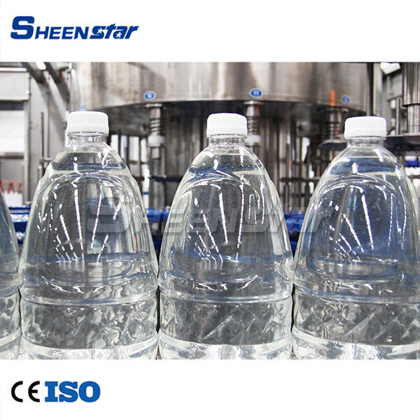 Budget-friendly options for purchasing a bottle filling machine