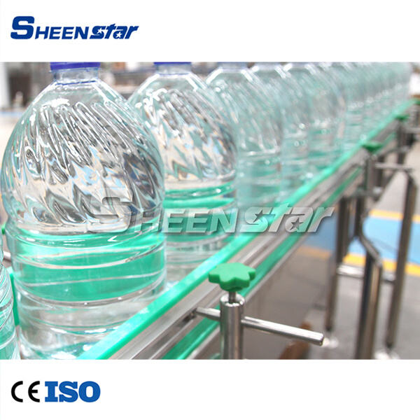 Sustainable Solutions for Water Purification