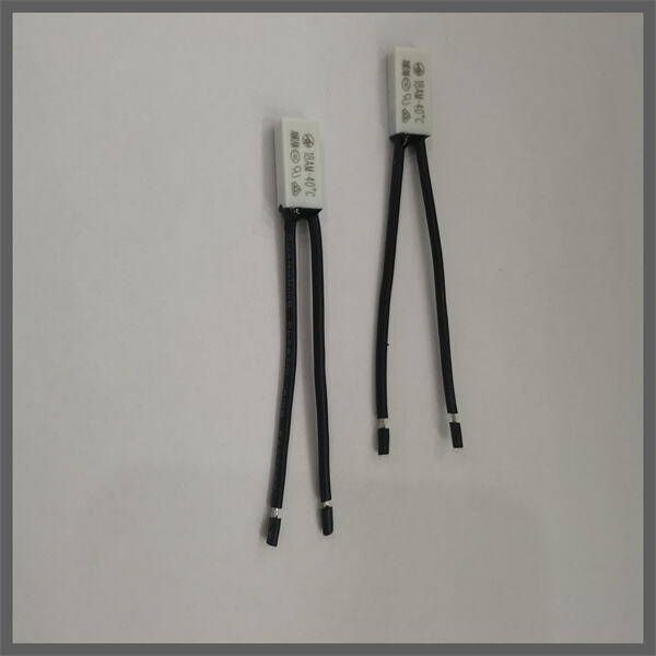 Stay Within Your Desired Temperature Range with Electronic Switching Technology
