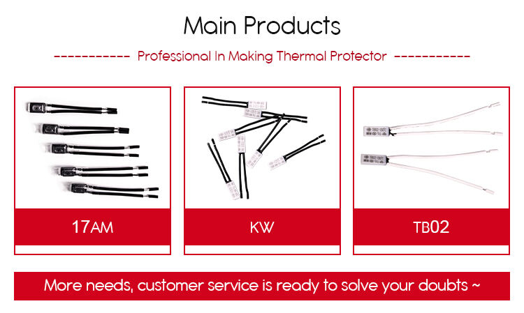 thermal protector for small motors batteries