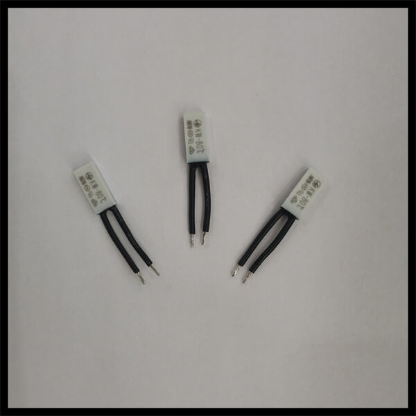 Easy-to-Use 120v Temperature Controlled Switches for Comfortable Living