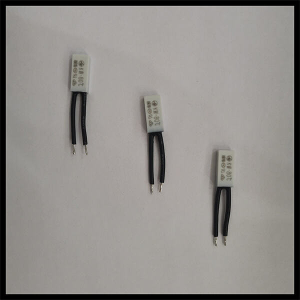 Maintain Perfect Temperature with 120v Controlled Switches