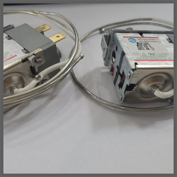 Protect Your Equipment with a Reliable and Efficient Thermal Limit Switch