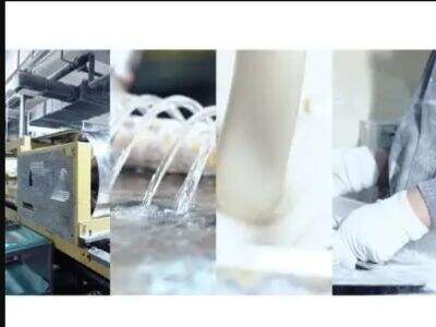 Medical & Herb Gum Base: Innovations in Functional Confectionery