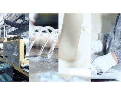 How Sanxis Special Design Gum Base Meets Custom Market Demands