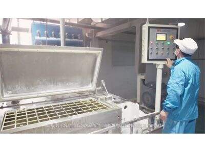 Welche Kaugummi-Grundmasse ist die beste für langanhaltenden Geschmack?