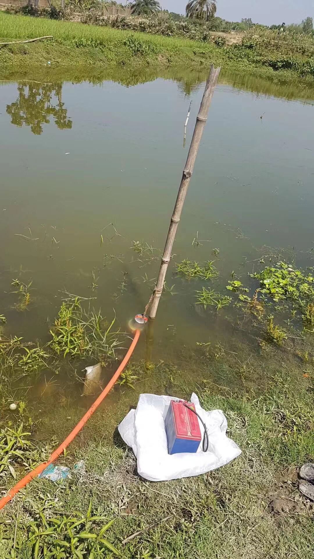 Pumpping in thailand