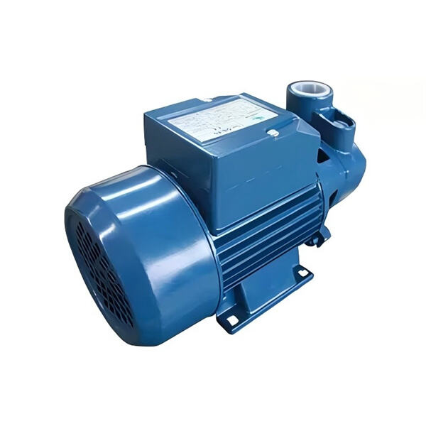 استمتع بضغط ماء ثابت مع مضخة مياه كهربائية