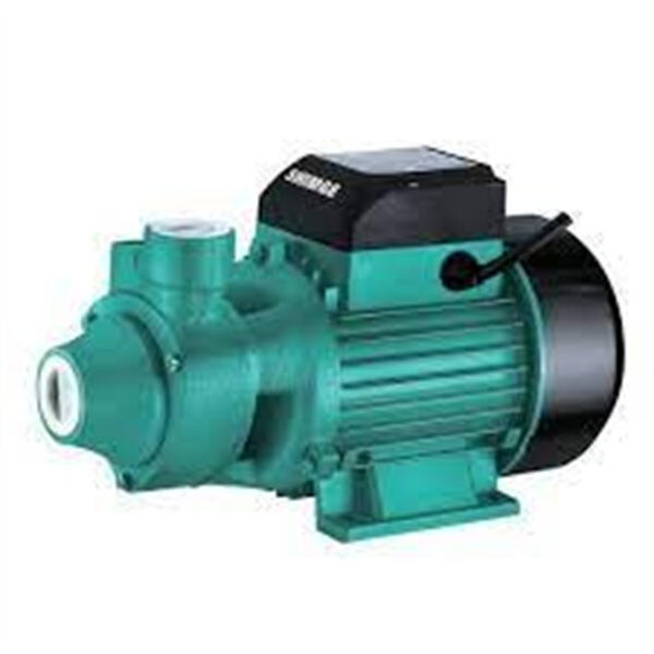 Save Time and Money with a High-Quality Water Motor Pump