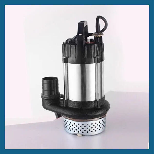 High-Performance Water Pump Designed for Maximum Output