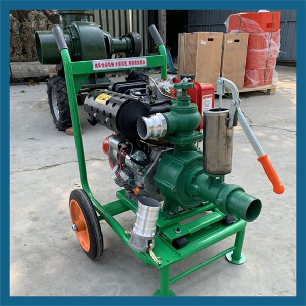 Compact Design, Big Performance - Meet the Mini Electric Pump"