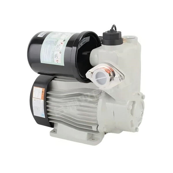 Easy Installation and Maintenance of 0.5HP Water Pumps