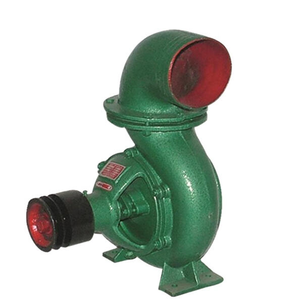 Bơm nước đơn giản 12 Volt cho hoạt động ngoài trời