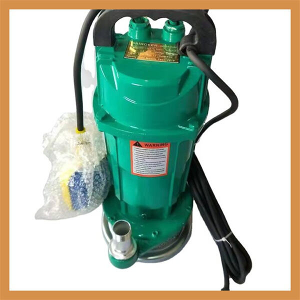 Pompe à eau Ulka 220v pour divers usages de l'eau