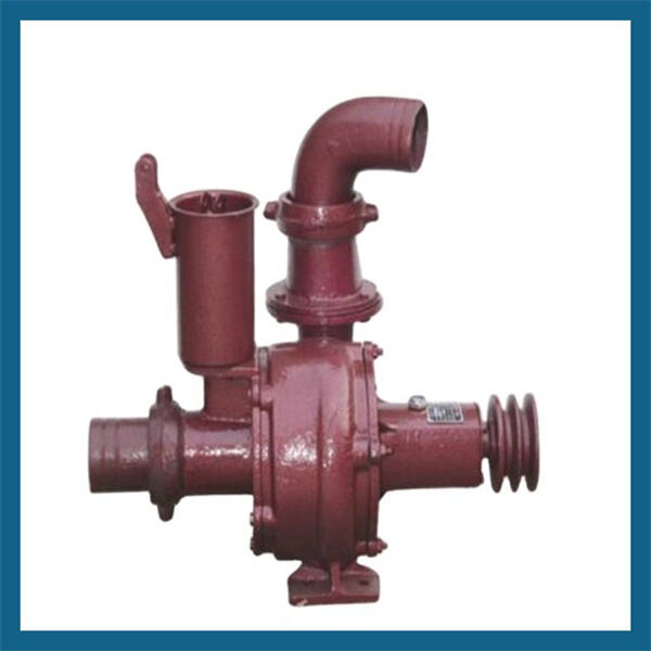Reliable and Durable 12v Pump for Agricultural Needs