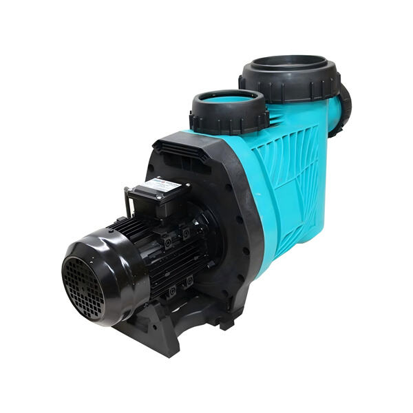 Save Money and Energy with a Variable Speed Pool Pump