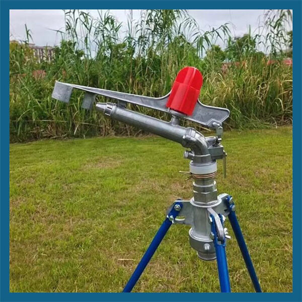 Pagpupunta sa Kinabukasan habang Gumagamit ng Solar-Powered Well Pumps