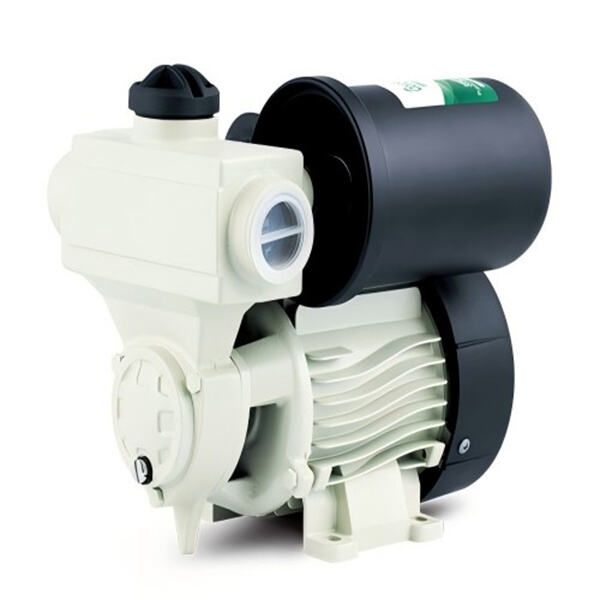 0.5HP Water Pumps for Your Watering Needs