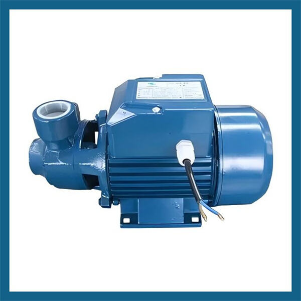 Get the Best Value for Your Money with Our Water Pump Gasoline