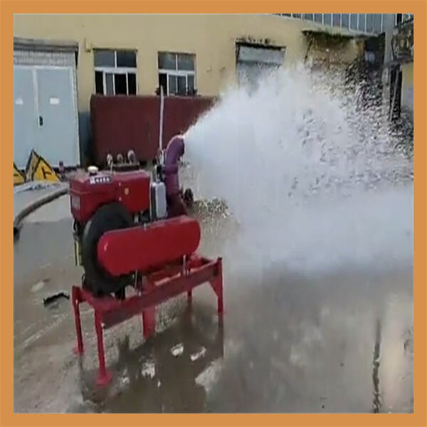 Maximize water flow with the 2hp submersible pump.