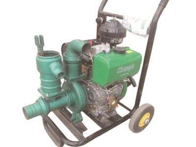 Which Wetong Water Pump Works Best for Small-Scale Vegetable Farm Irrigation?