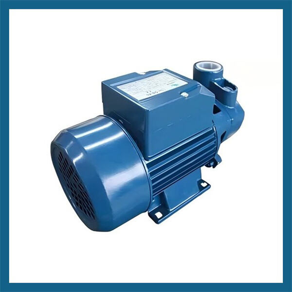Keep Your Garden or Lawn Happy and Healthy with an Affordable Water Pump Gasoline