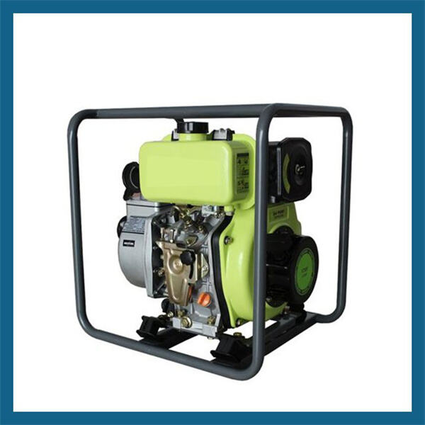 Konsistenter Wasserdruck mit einer zuverlässigen 220V-Brunnenpumpe