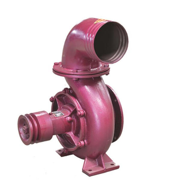 Bài viết trước: Những điều tuyệt vời về bơm nước 12 volt cho cảnh quan của bạn.