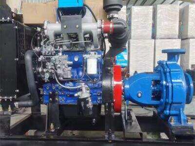 33 Years of Expertise: Why WETONG Is a Trusted Irrigation Pump Supplier for Global Farmers