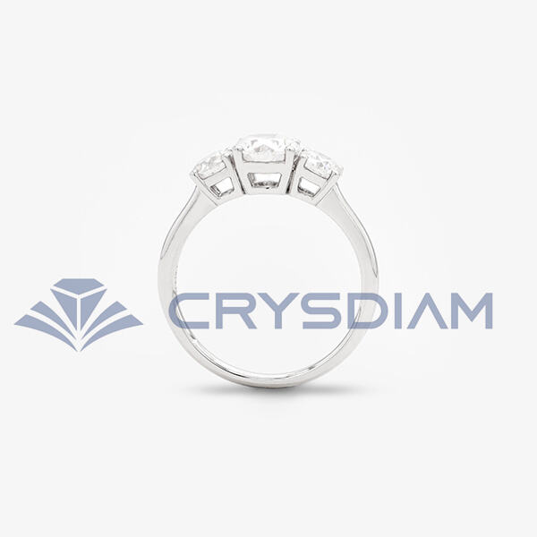 The Eco-Friendly Choice