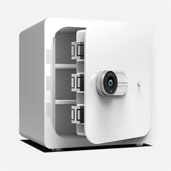 सिक्यूरस सेफ डिपॉजिट सेवाओं के साथ विश्वसनीय सुरक्षा