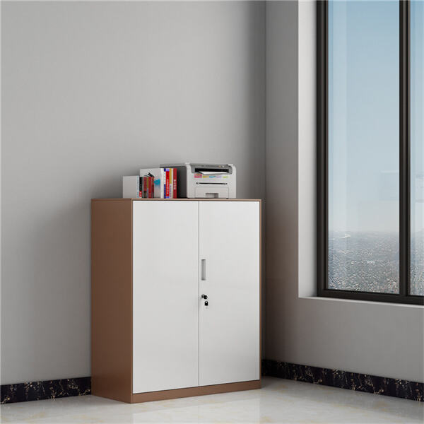 अपने सभी IT उपकरणों को मेटल कंप्यूटर कैबिनेट में सुरक्षित रखें