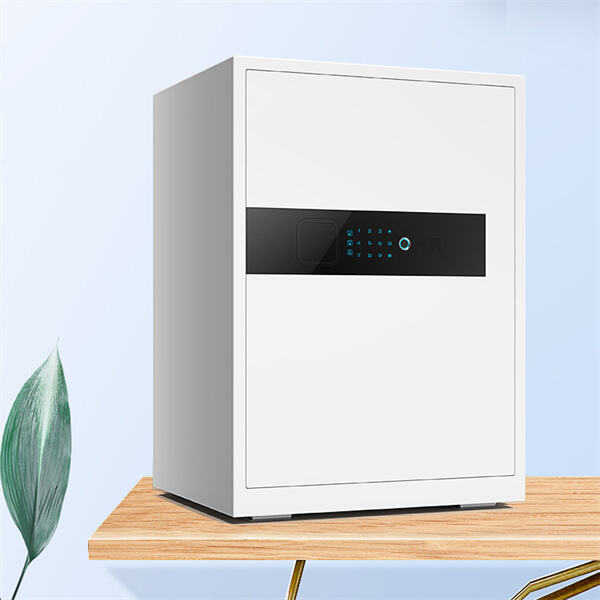 अपने घर के लिए एक मजबूत मेटल सेफ़ में शांति का निवेश करें