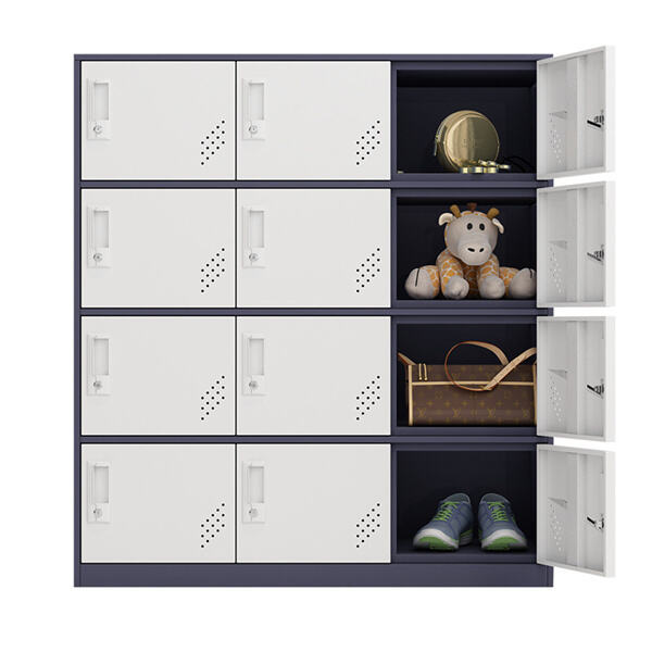 Upgrade Your Storage Solution with a Versatile Metal Locker Cabine