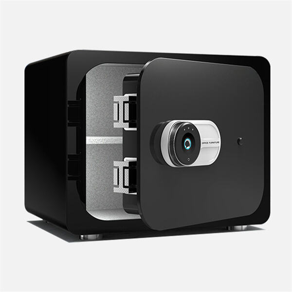 मिनी सेफ लॉकर।