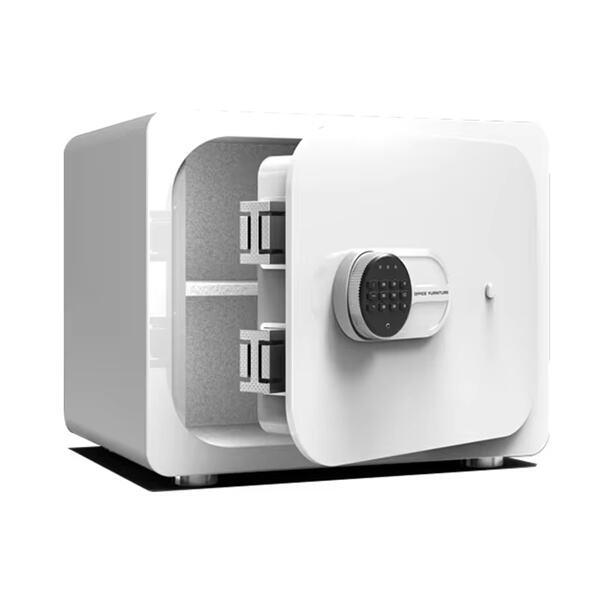 सिक्यूरस सेफ डिपॉजिट के साथ आपकी गौण वस्तुओं के लिए प्रीमियम सुरक्षा