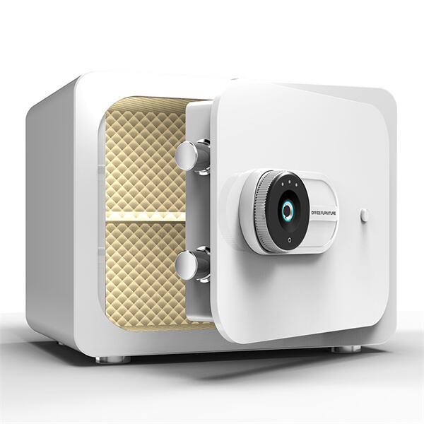 एक दृढ़ मेटल स्ट्रॉन्ग बॉक्स के साथ आपकी मूल्यवान चीजों की रक्षा करें