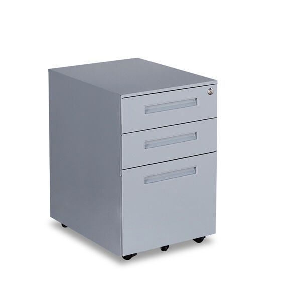 स्टील कैबिनेट के साथ अपने जीवन को साफ़ और संगठित करें।