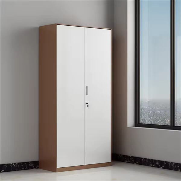 जगह बचाने वाला फेरी मेटल लॉकर