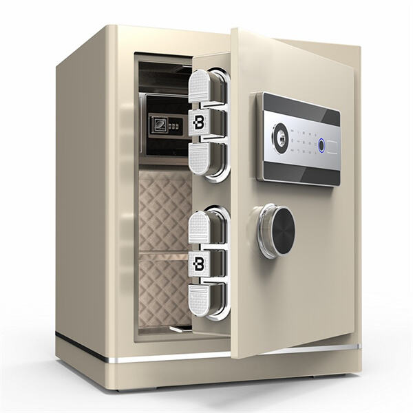 कंबिनेशन कोड और कुंजियों के बिना एक उंगली के छाप के सुरक्षित बॉक्स के साथ
