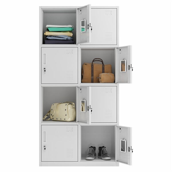 हर कमरे के लिए फेरोजाती दरवाजे वाले अलमारी