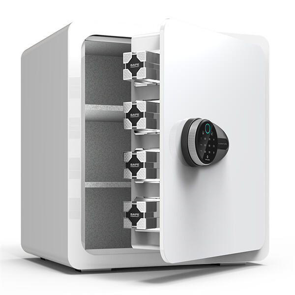 Choose a Cash Safe Locker for Your Financial Needs.