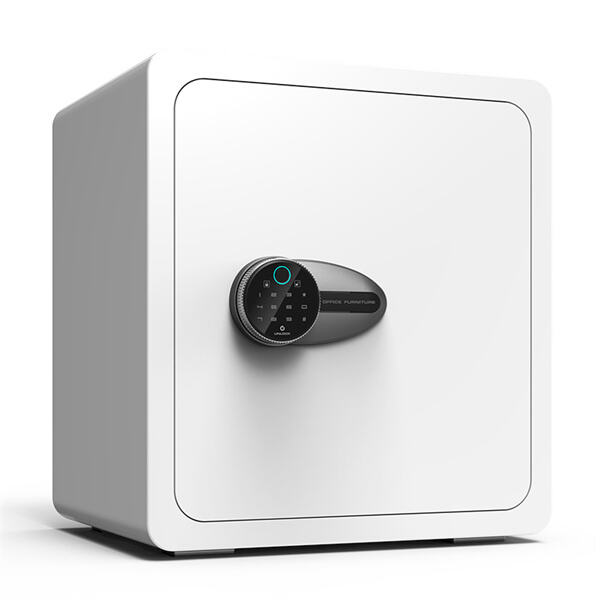 मिनी सेफ लॉकर के साथ परेशानी मुक्त स्टोरेज।