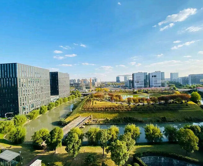 Shanghai Weijiayu Trading Co., Ltd.