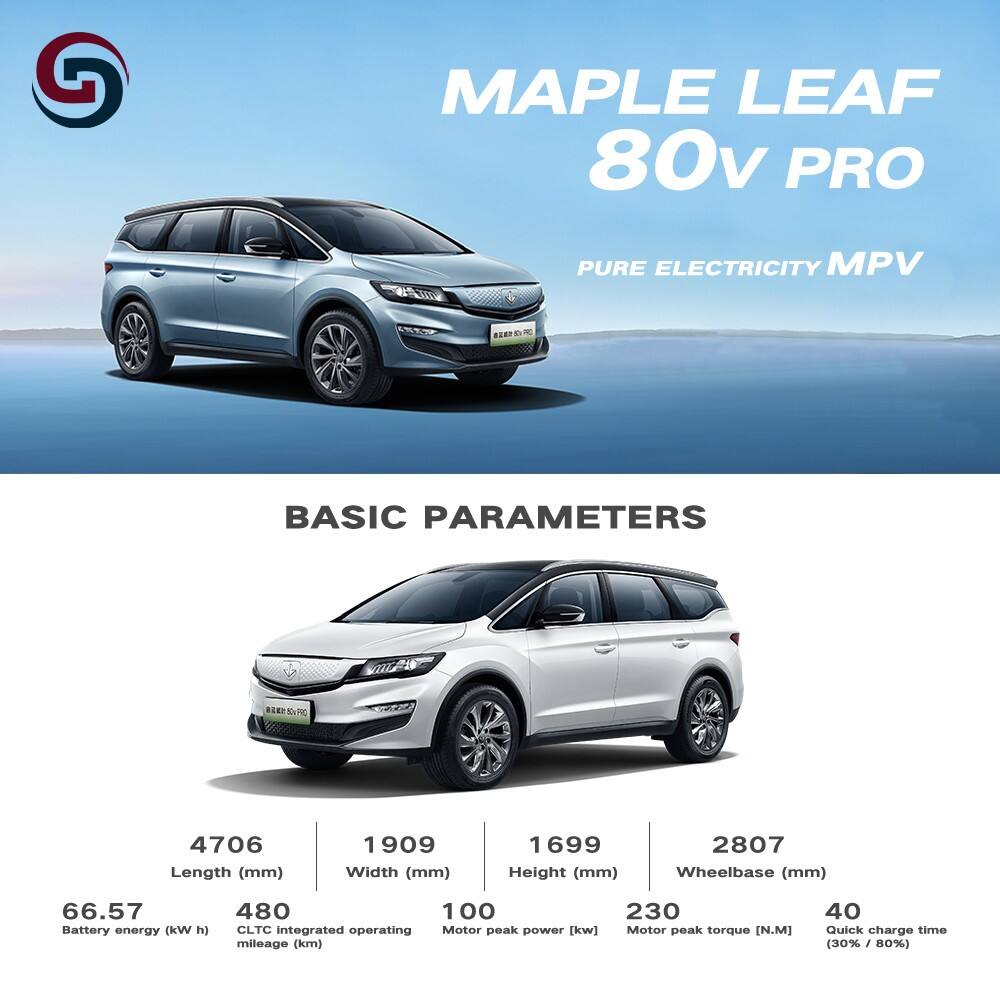 Geely Maple Leaf 80v pro supplier