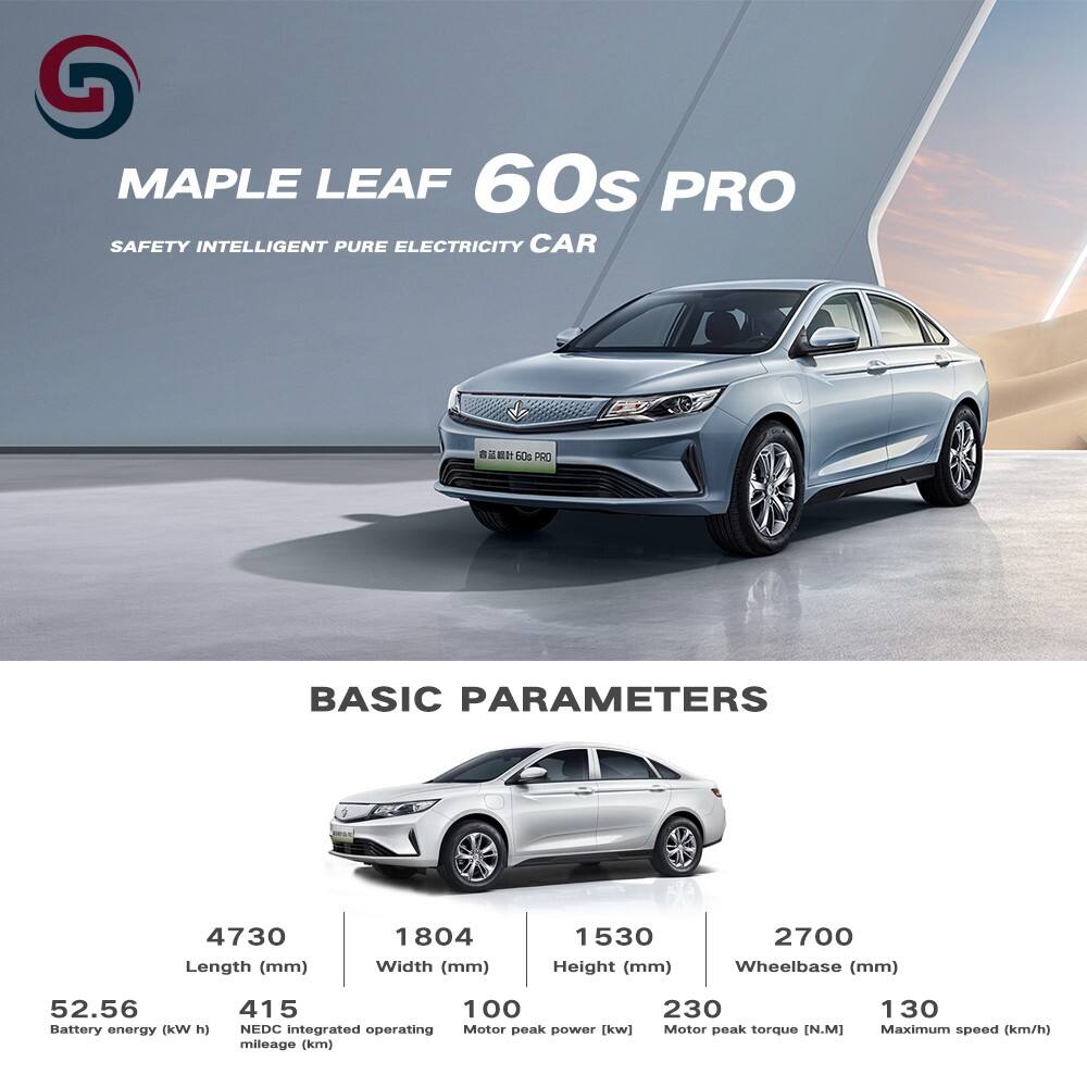 Geely Maple Leaf 60s pro details