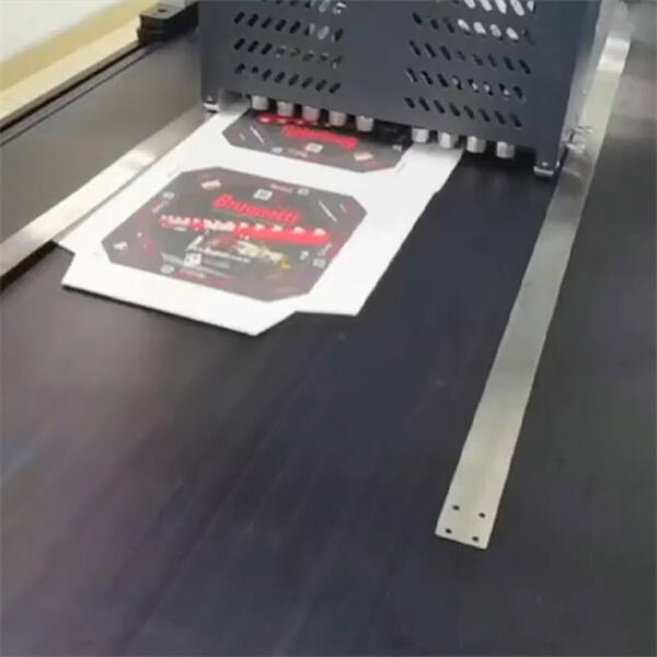 Safety and Use with Single Pass Packaging Printer