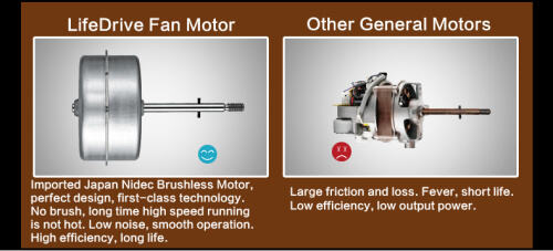 FS7411 14 '' pedestal fan supplier